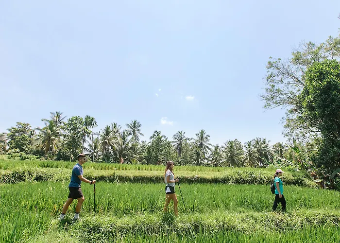 Tejaprana & Ubud (Bali)